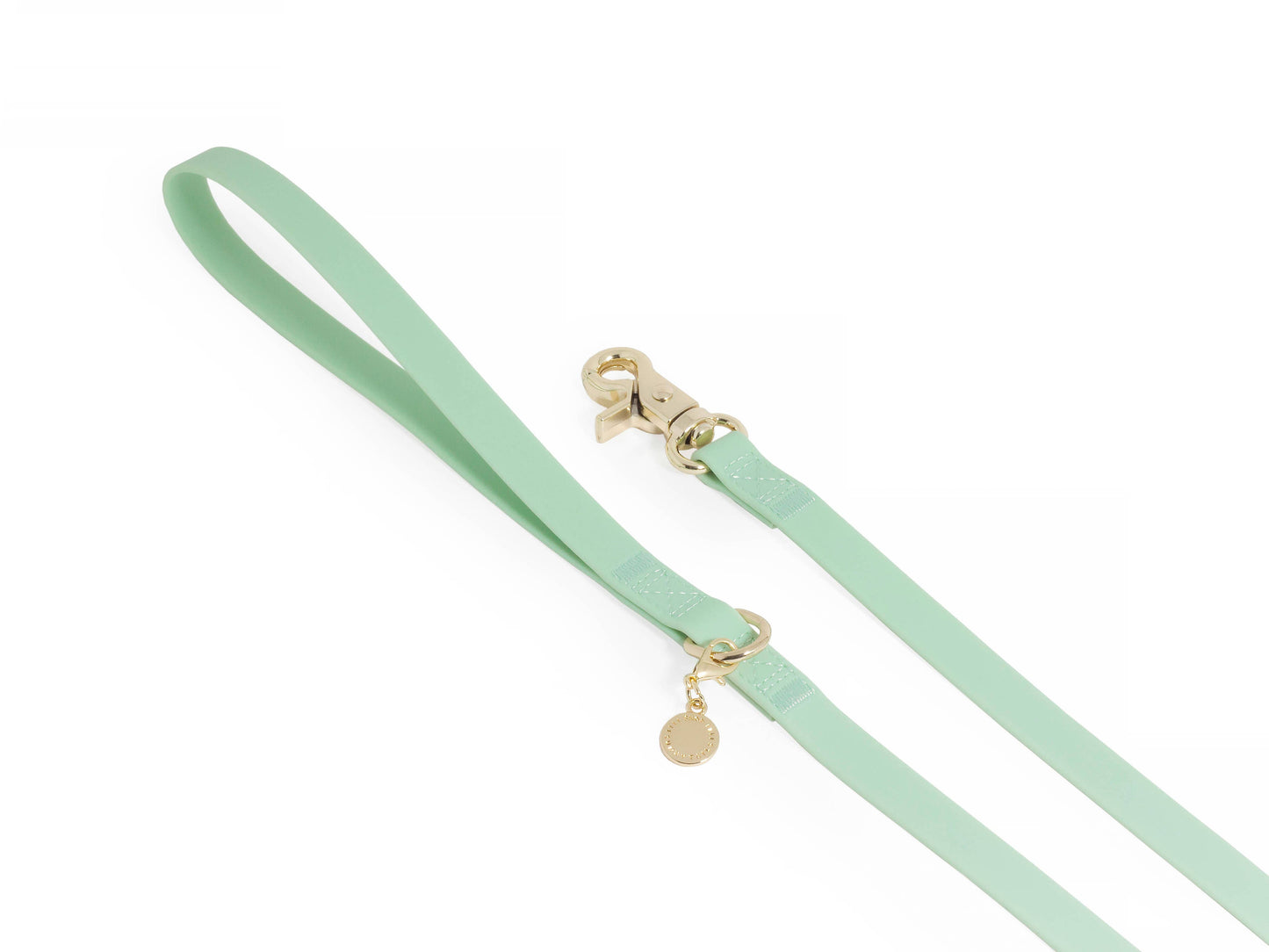 La Laisse imperméable pour chien Cloud vert pistache
