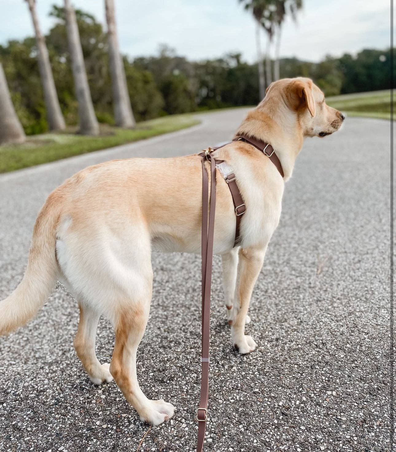 Le Harnais pour chien Espresso Brown Cloud Lite