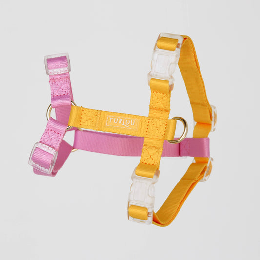 Le Harnais - Rose & Jaune