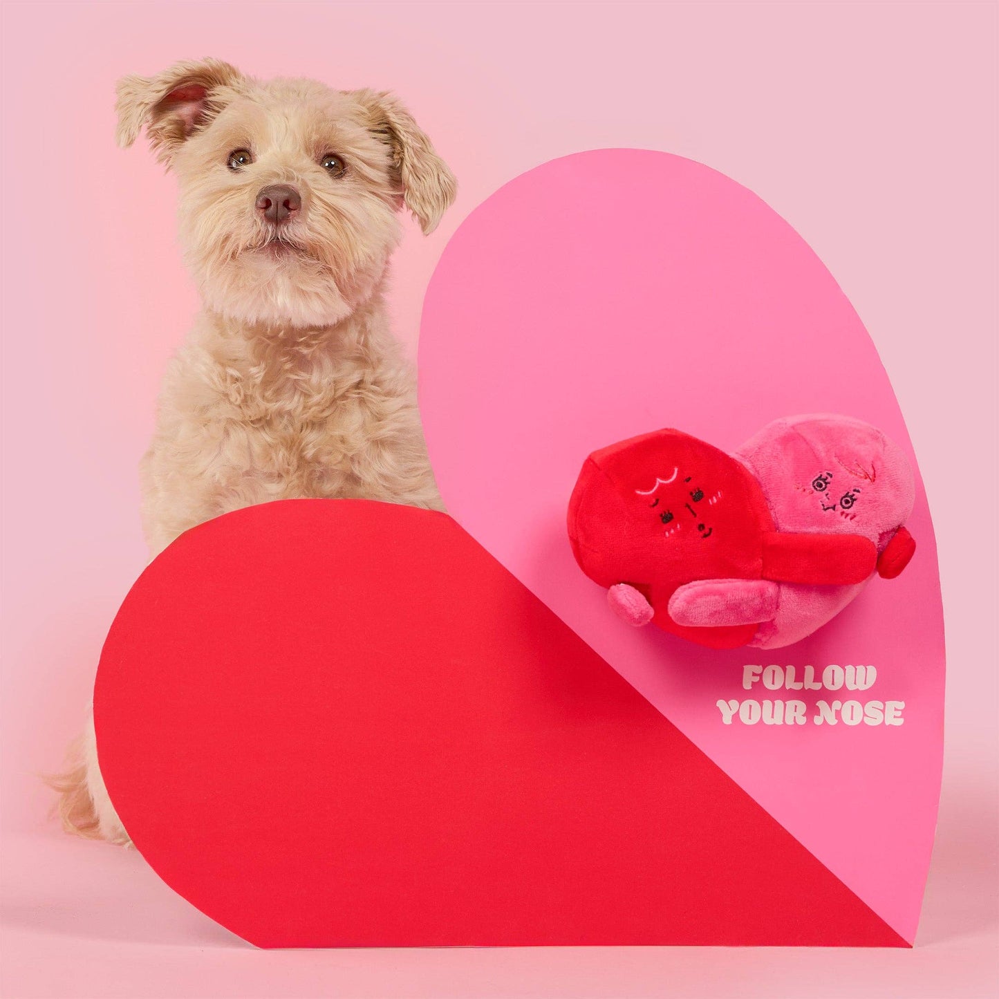 Le Jouet de Pistage Amour Verrouillé