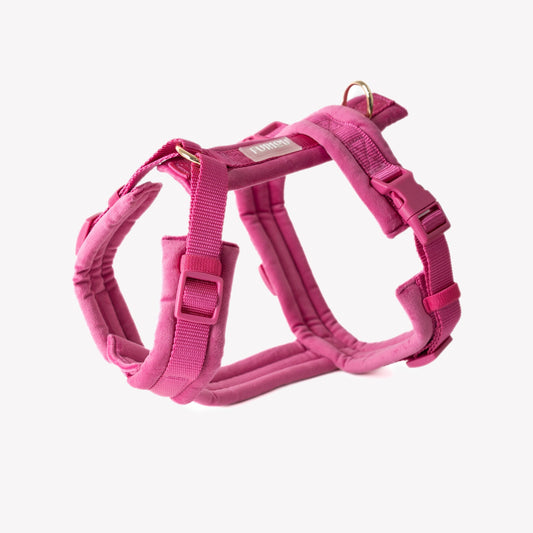 Le Harnais Magenta en velours