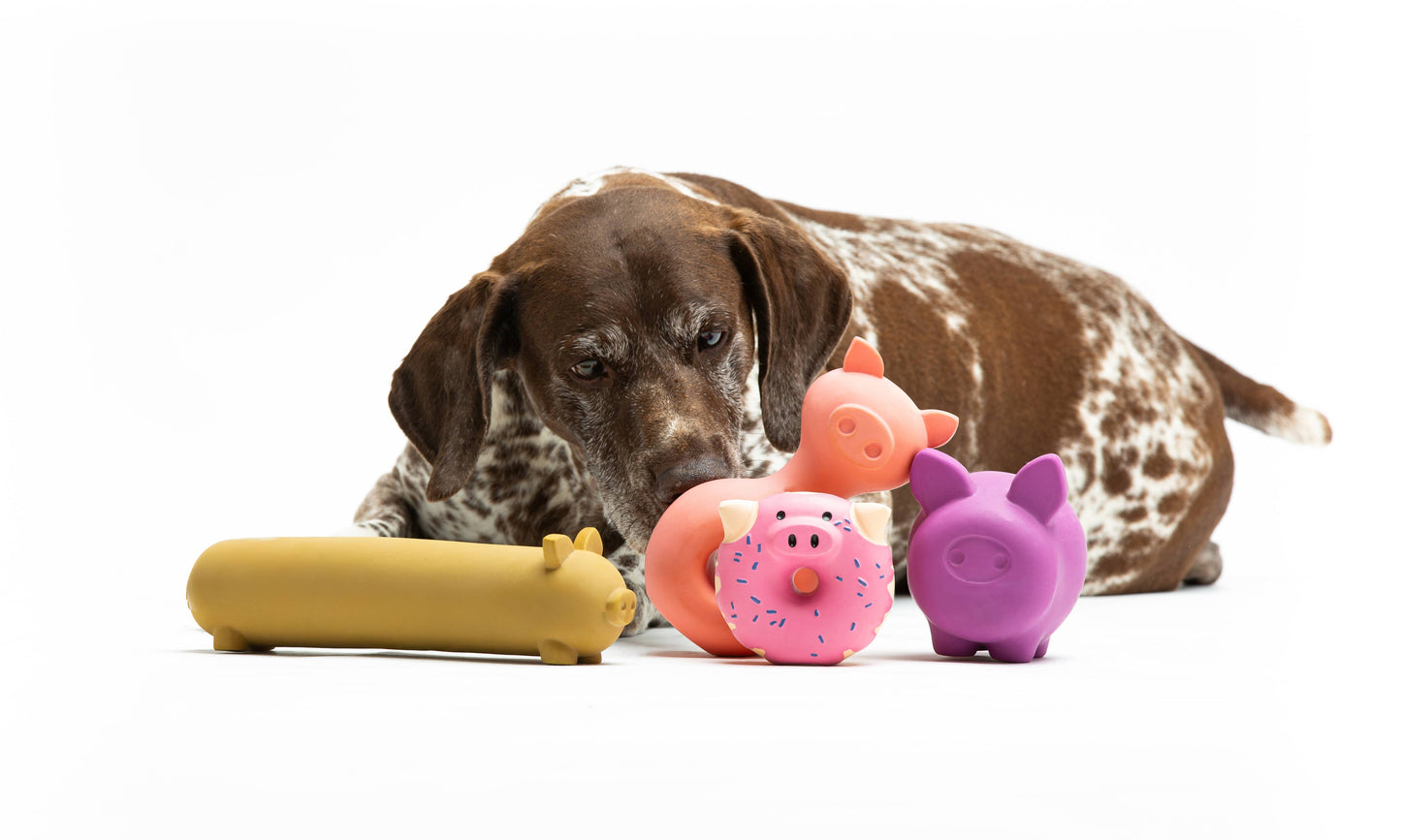 Jouet en latex en forme de cochon pour chiens et chats