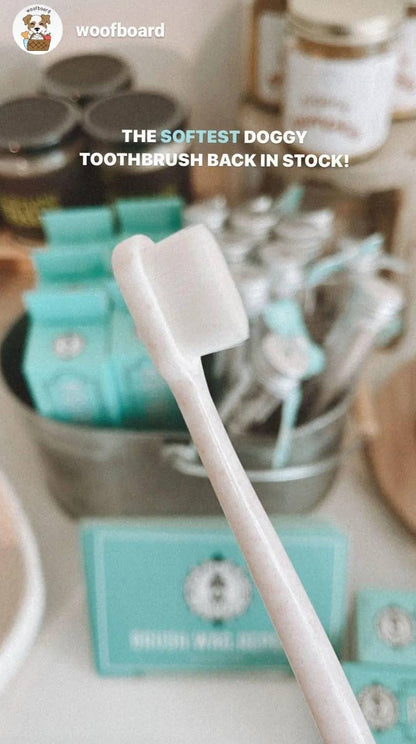 La Brosse à dents écologique Puppy Polisher