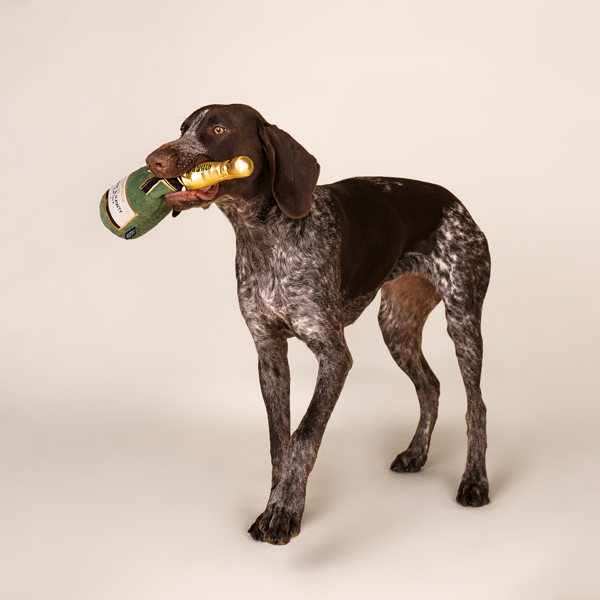 Le Jouet Champagne