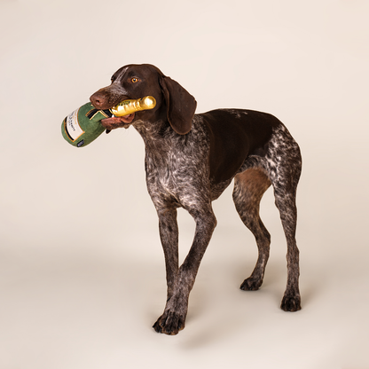 Le Jouet Champagne