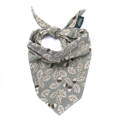 Le Bandana pour chien Boone