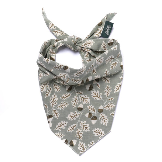 Le Bandana pour chien Boone