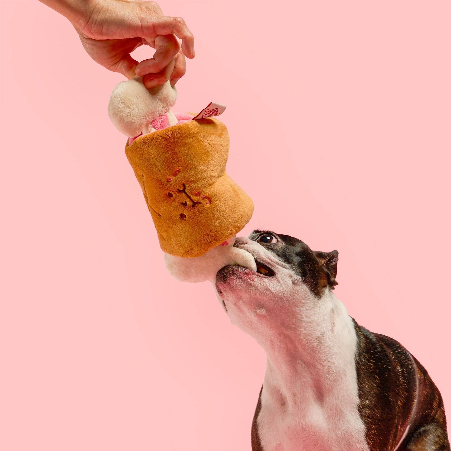 Le Jouet de flairage Bone Appétit