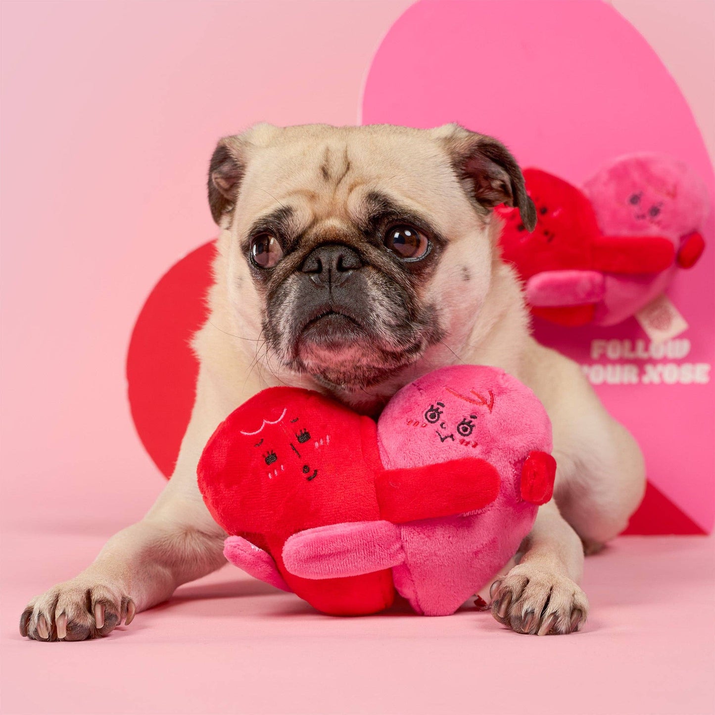 Le Jouet de Pistage Amour Verrouillé