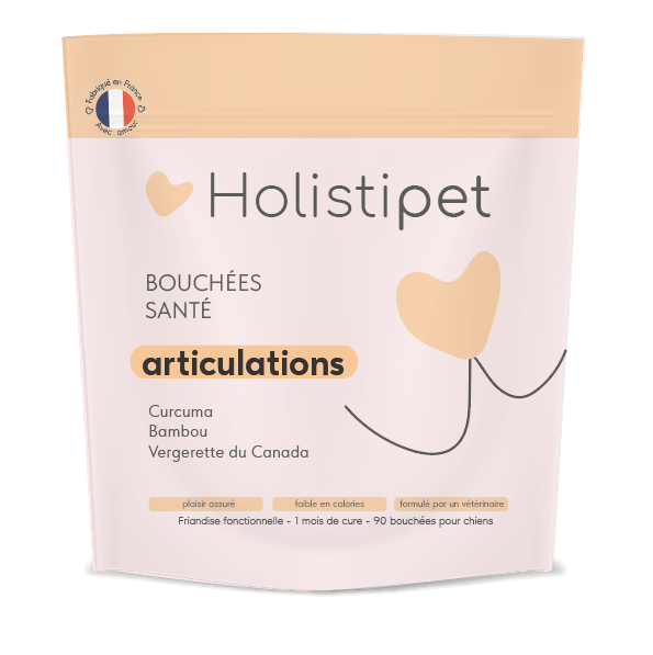 Les Bouchées Santé - Articulations