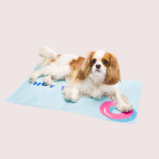 Le Tapis Rafraîchissant chien