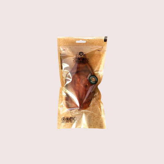 Oreille de Porc Ibérique Classique chien
