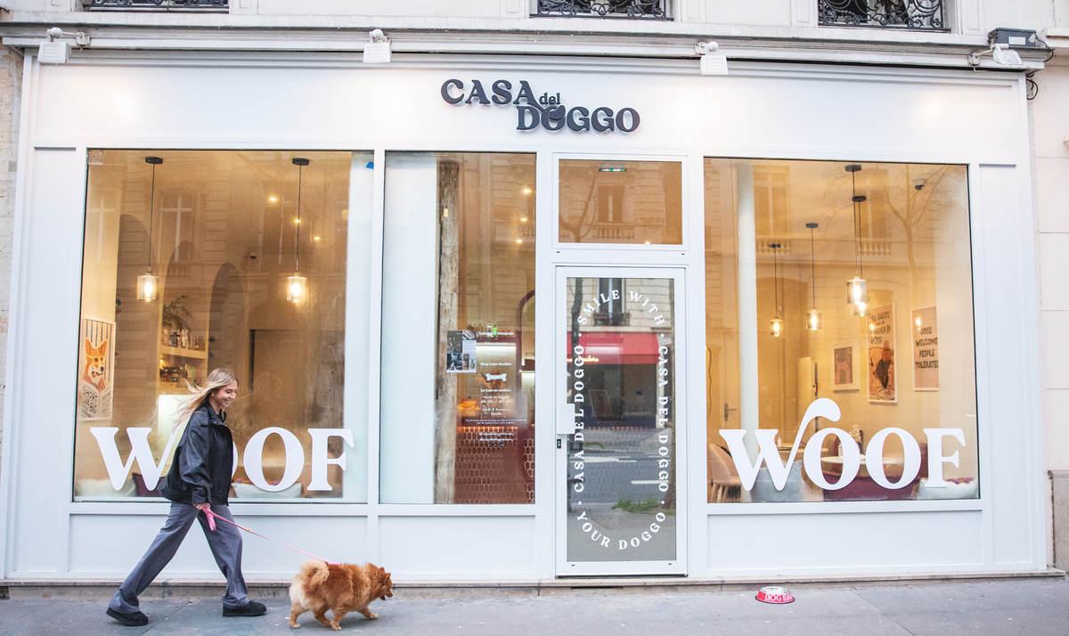 Doggo Fr Boulangerie pour chien Française 🐕 – CASA DEL DOGGO
