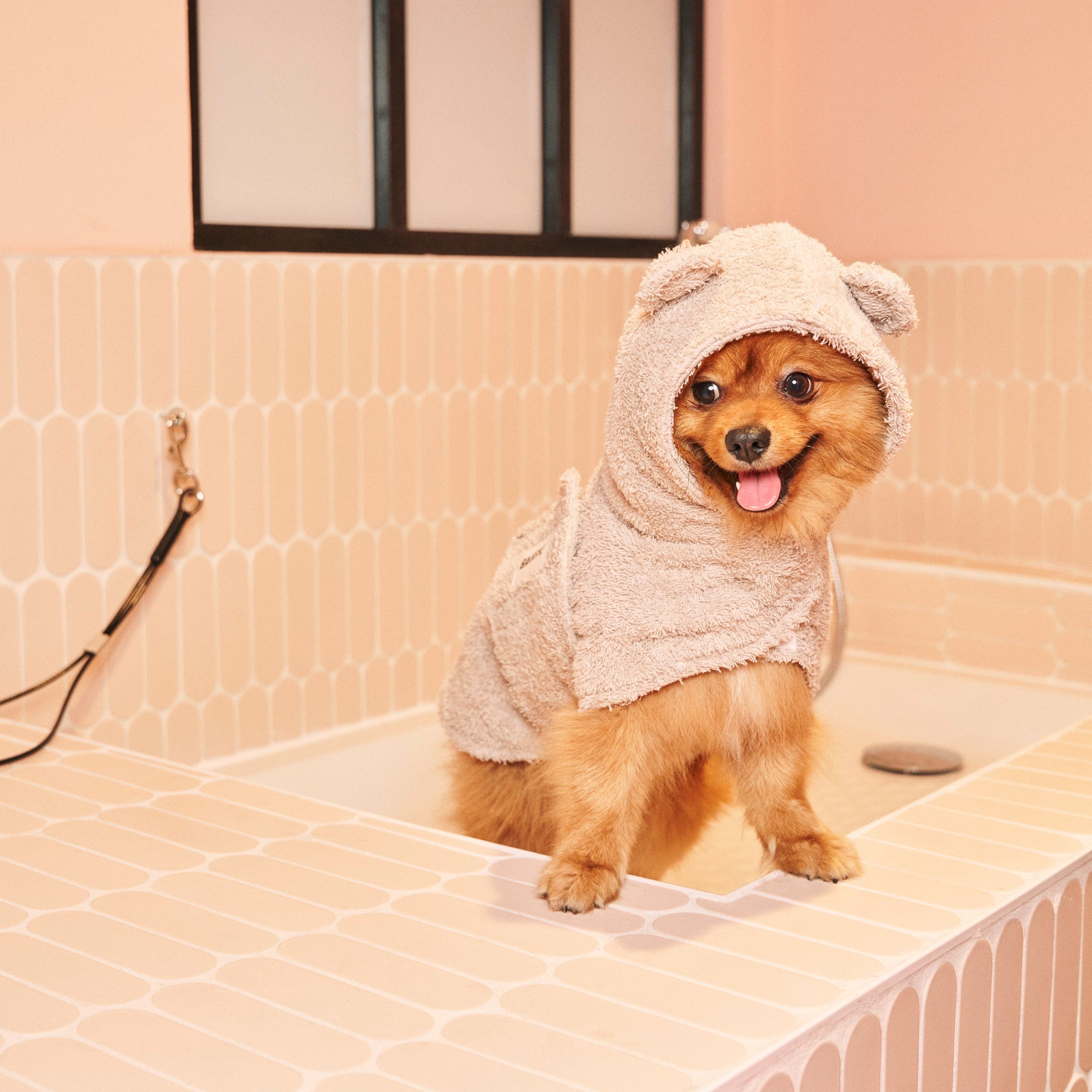 Doggo Fr Dog Wash - Lavage Libre Service – CASA DEL DOGGO