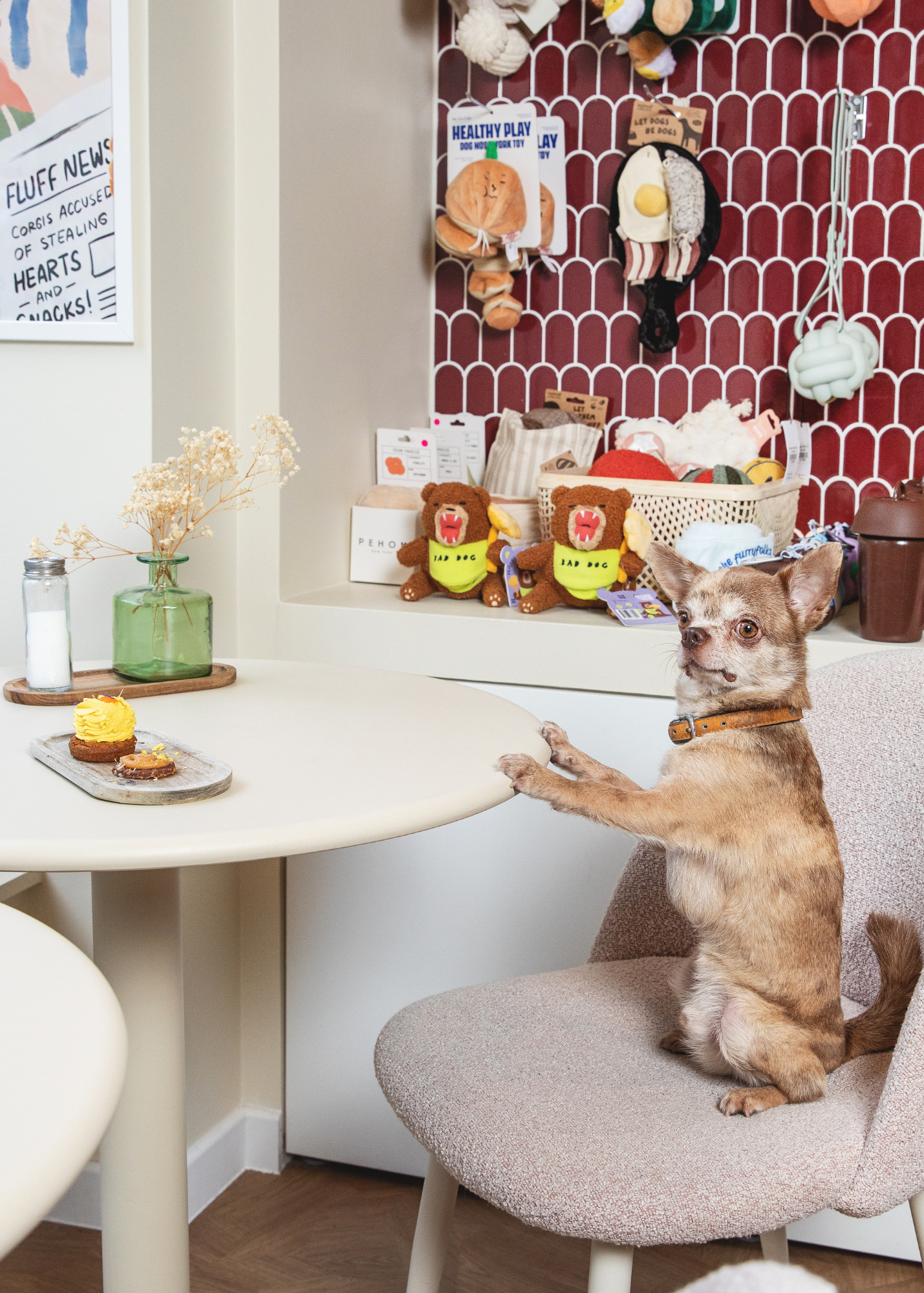 Doggo Fr Boulangerie pour chien Française 🐕 – CASA DEL DOGGO