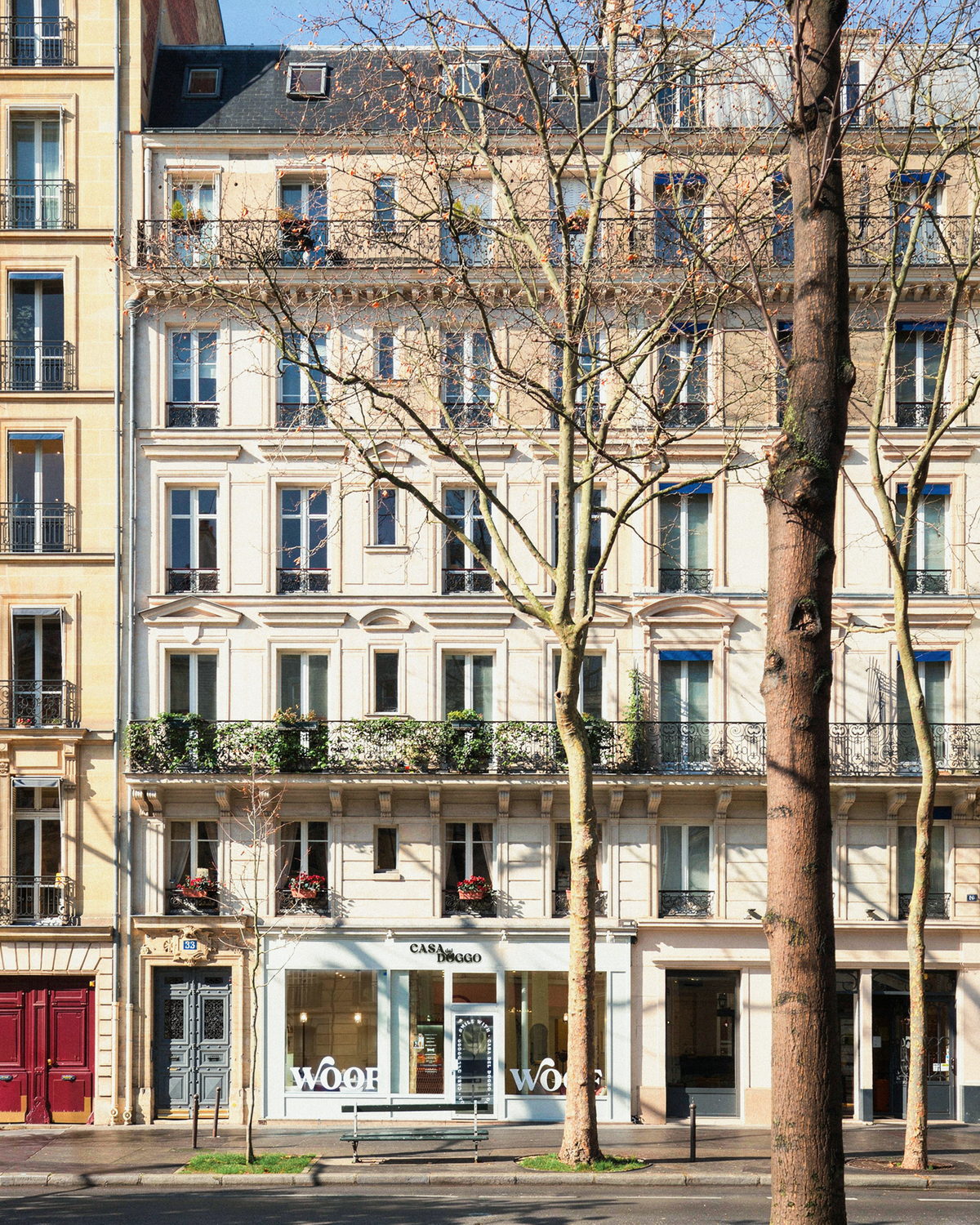 Boulangerie pour chien Française 🐕 – CASA DEL DOGGO