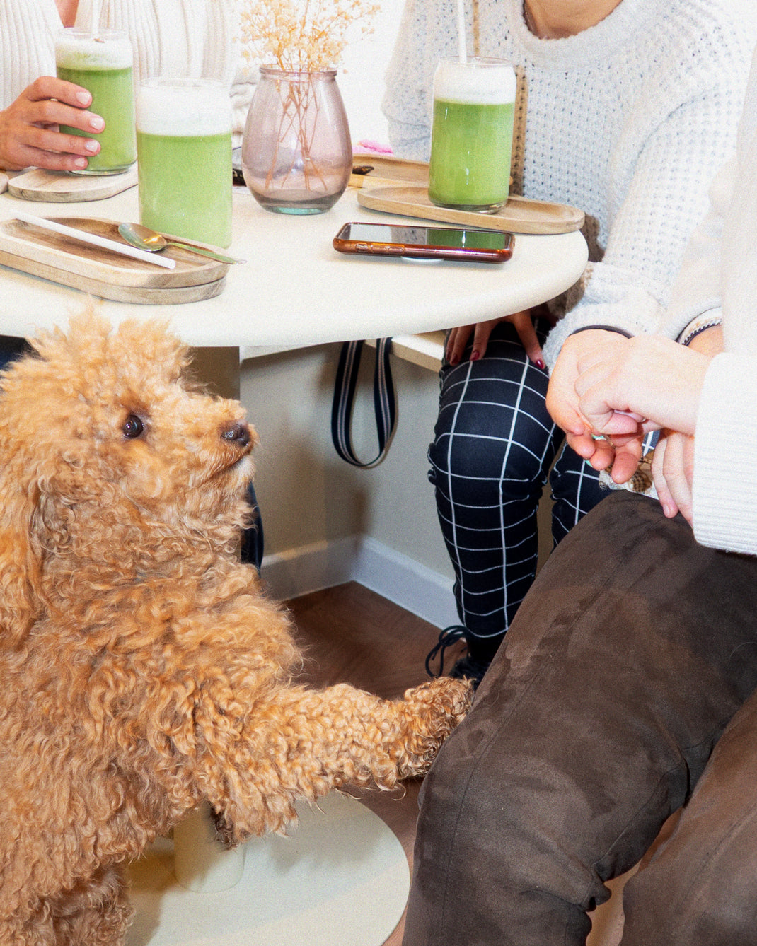 Doggo Fr Boulangerie pour chien Française 🐕 – CASA DEL DOGGO