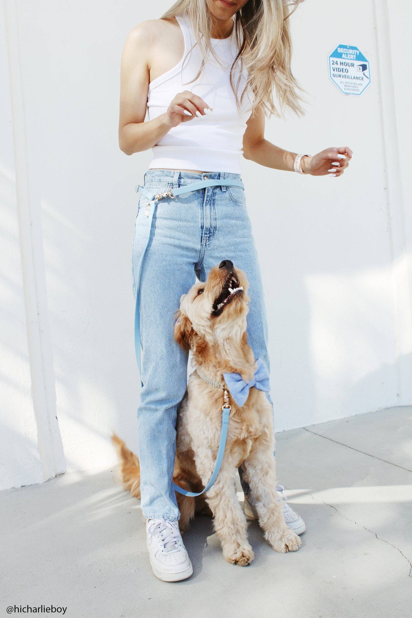La Laisse pour chien convertible 4 en 1 Chai Brown Hands Free Cloud