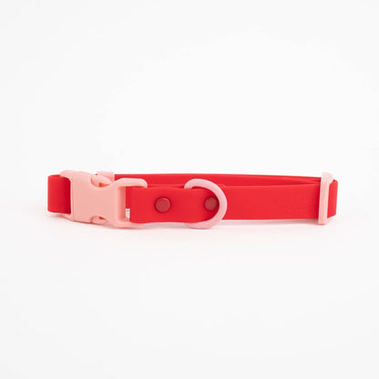 Le collier Fritz