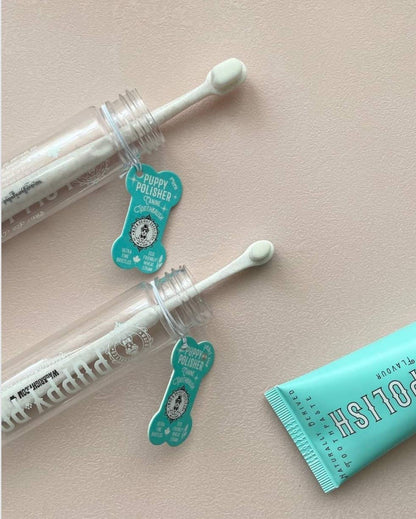 La Brosse à dents écologique Puppy Polisher