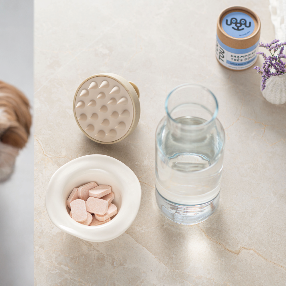 brosse de douche pour  lechien