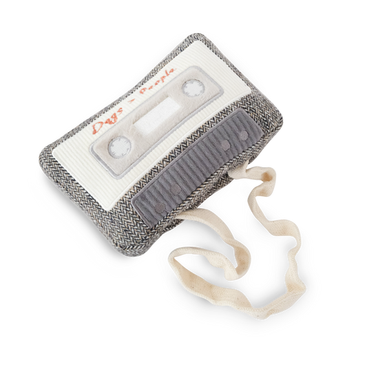 La Cassette - Jouet de fouille