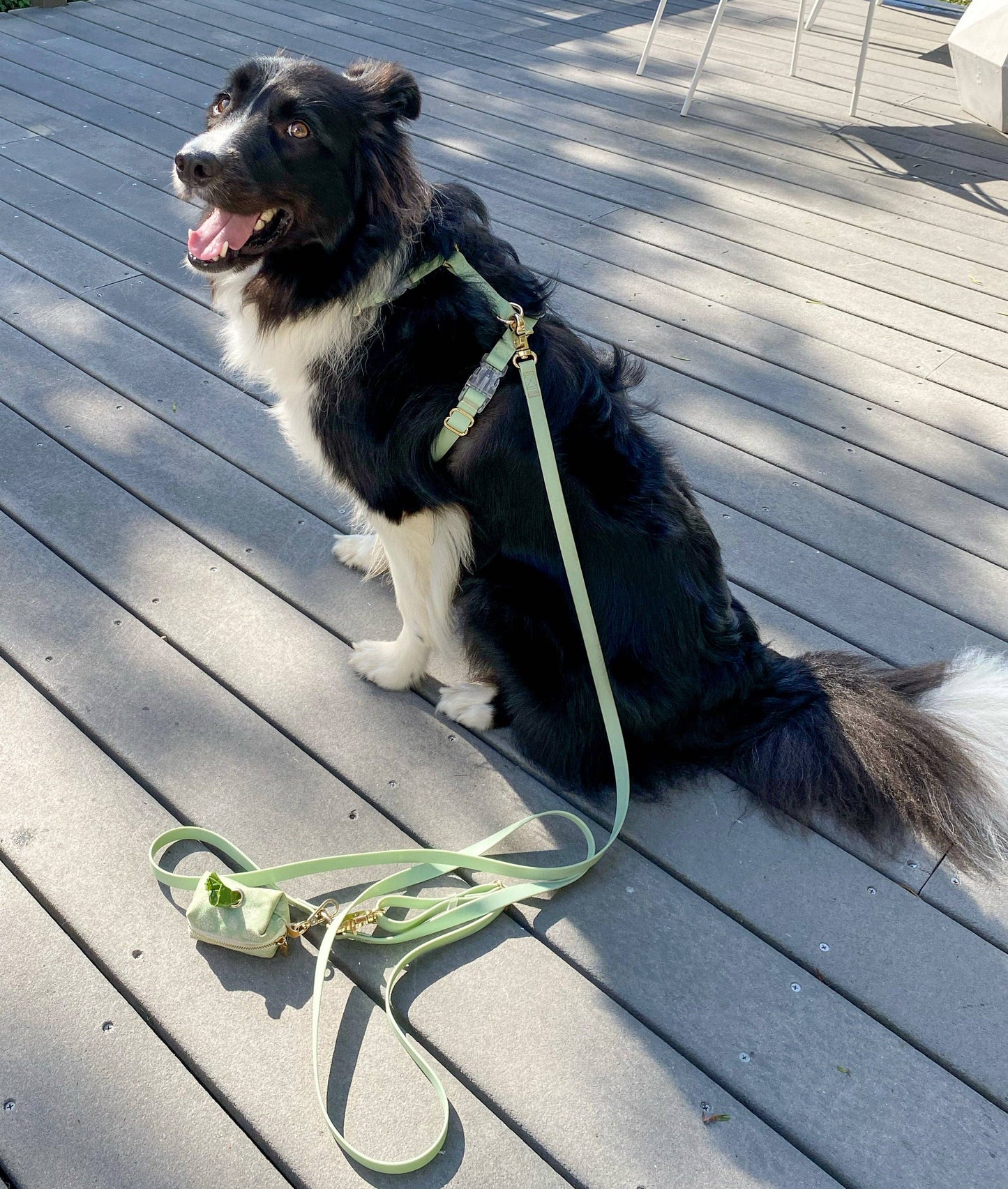 Le Harnais pour chien Pistachio Green Cloud Lite