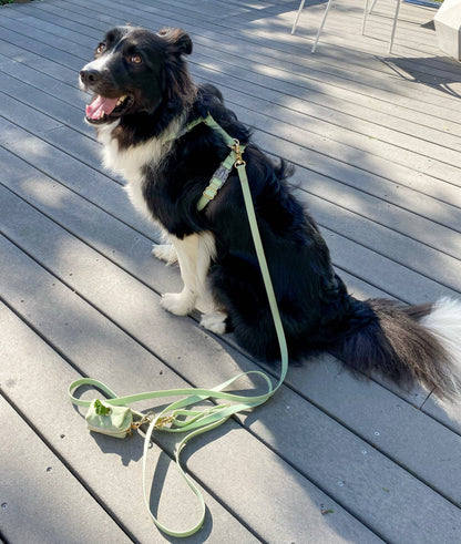 Le Harnais pour chien Pistachio Green Cloud Lite