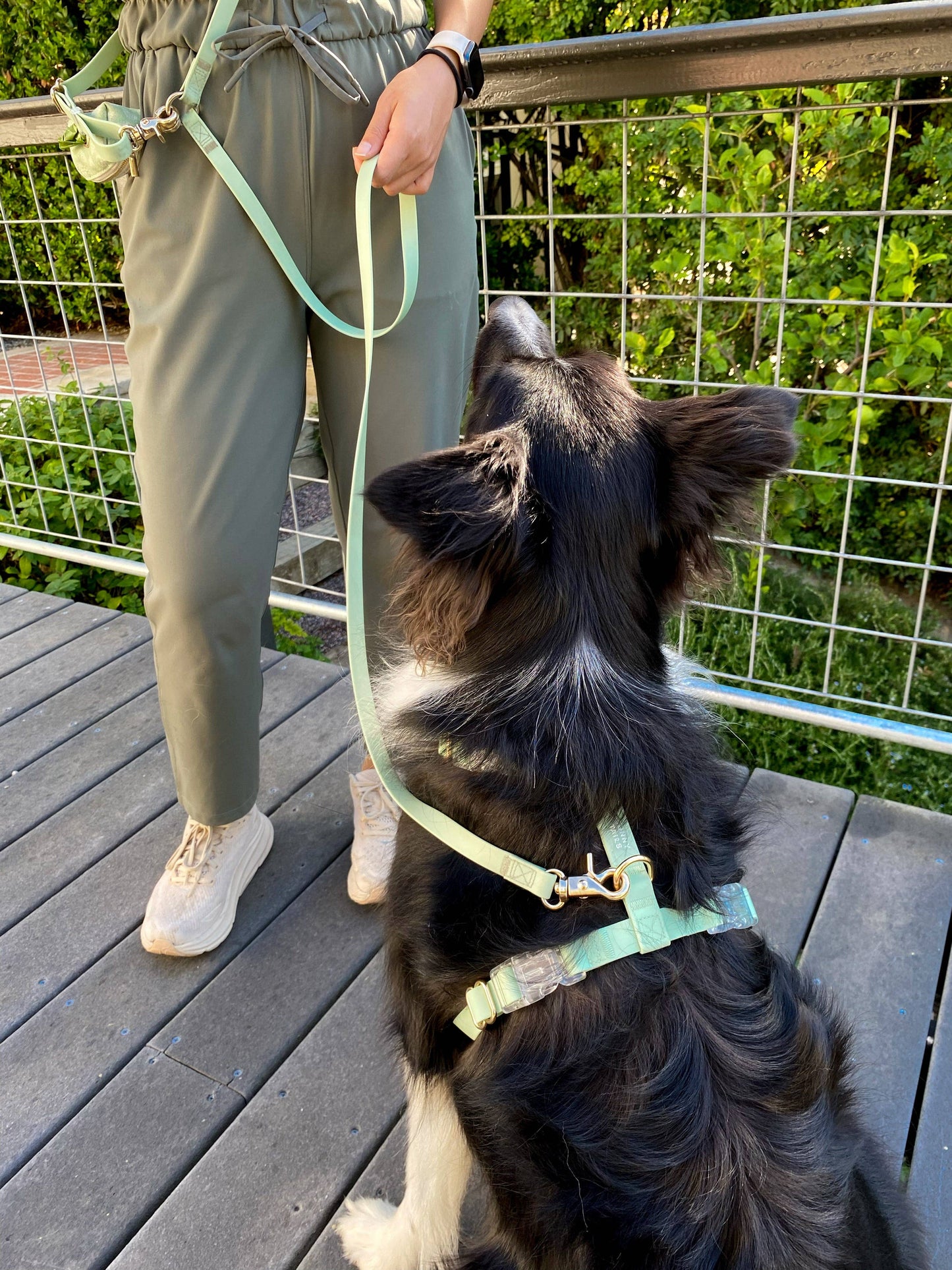 Le Harnais pour chien Pistachio Green Cloud Lite