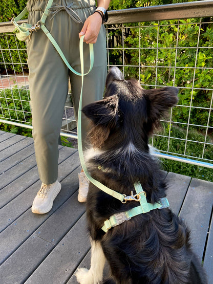Le Harnais pour chien Pistachio Green Cloud Lite
