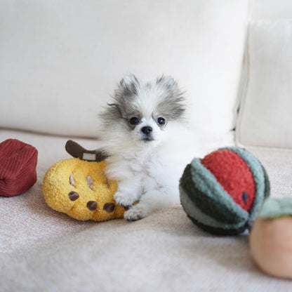 ENSEMBLE À FRUITS//ENSEMBLE DE JOUETS D'ENRICHISSEMENT// JOUET À ÉBOURIFFER