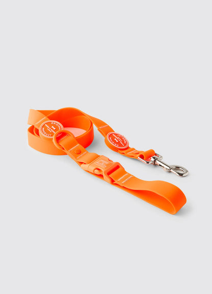 La Laisse imperméable pour chien Orange