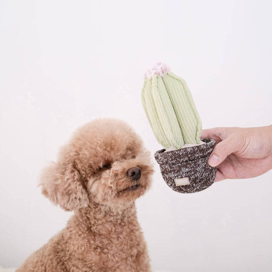 Le Cactus - Jouet de Fouille