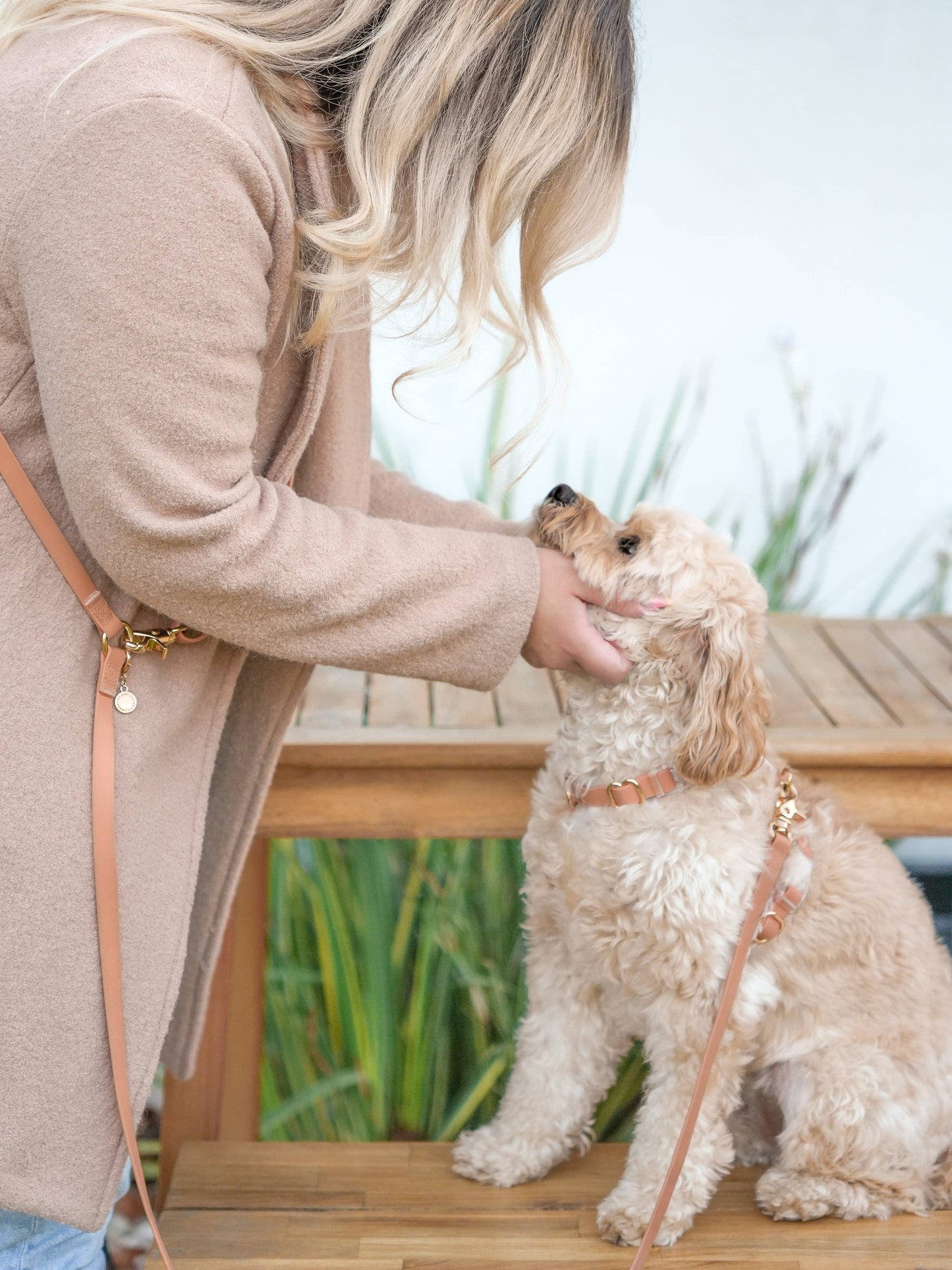 Le Harnais pour chien Chai Brown Cloud Lite