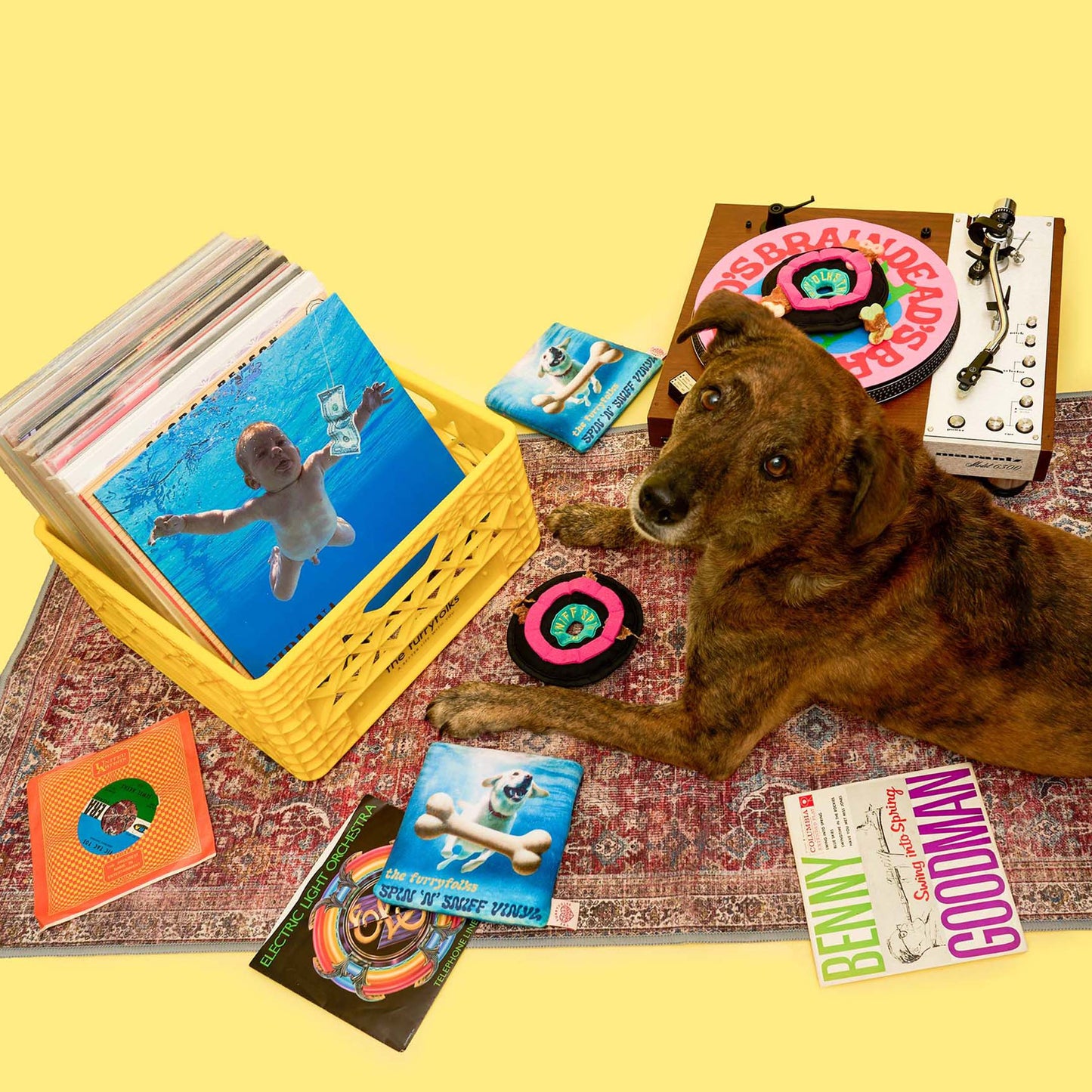 Le Jouet d’odorat en vinyle pour chien