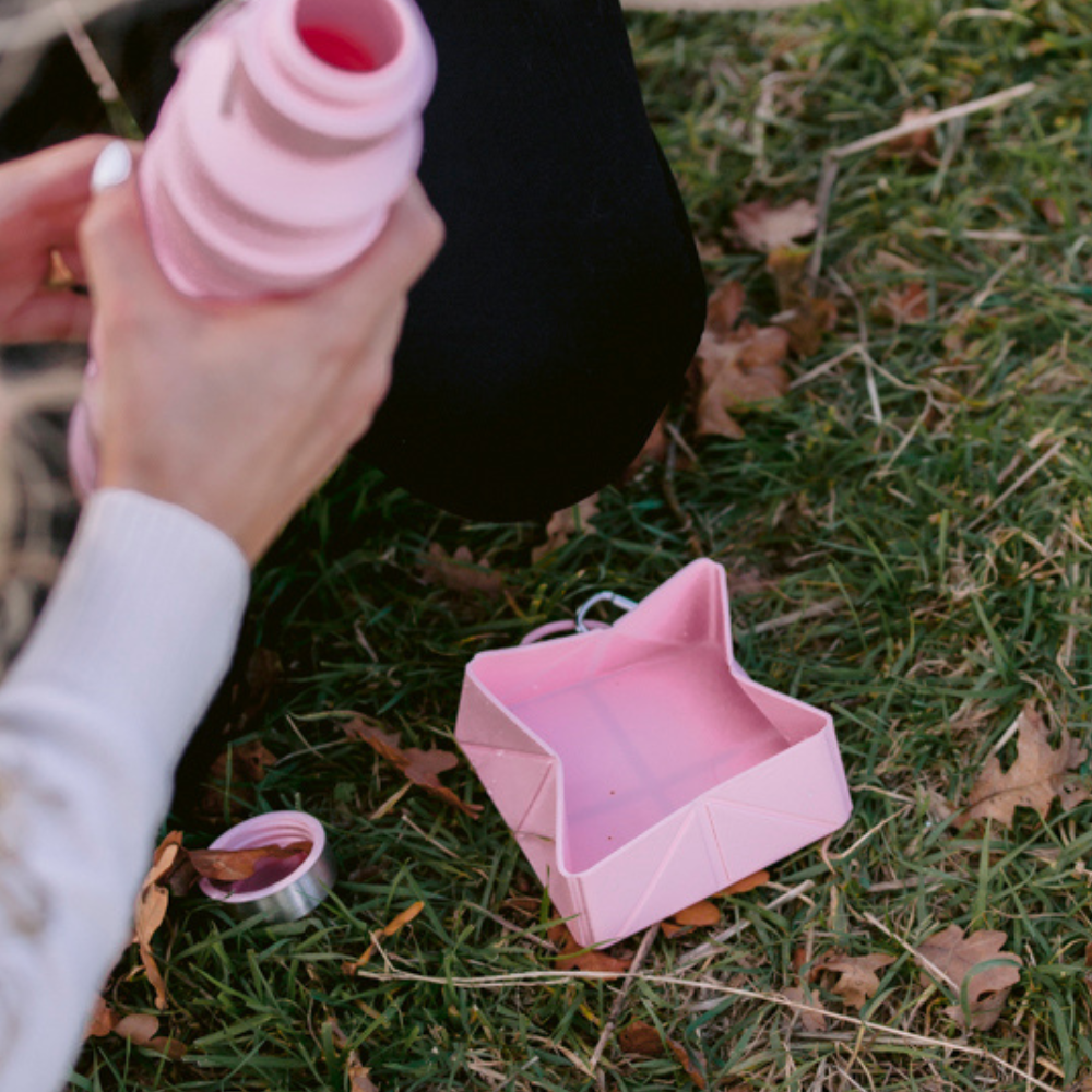 Le Bol de voyage pliable - Rose