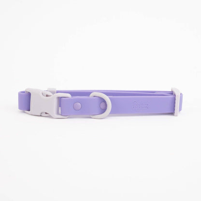 Le collier Fritz
