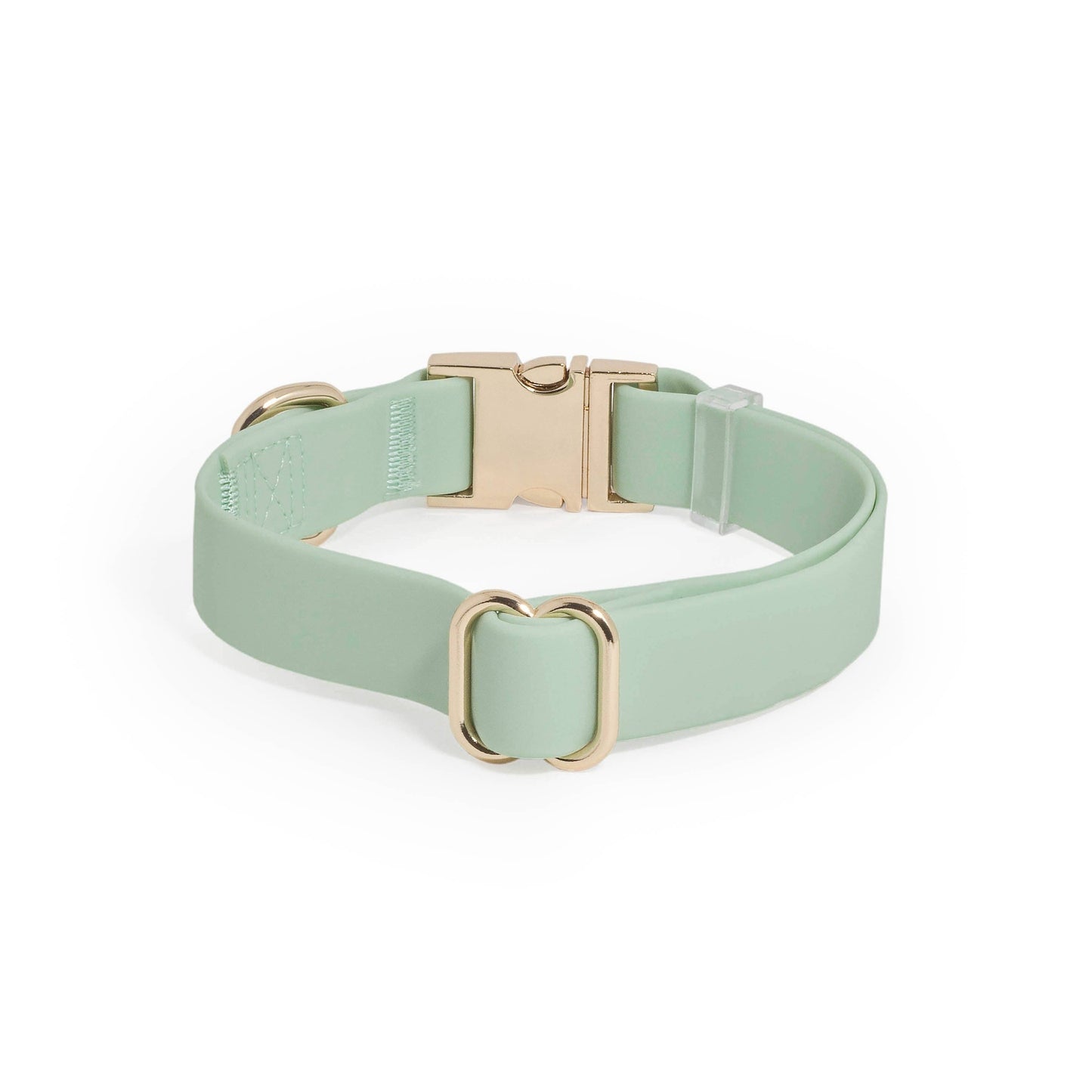 Le Collier imperméable pour chien vert pistache
