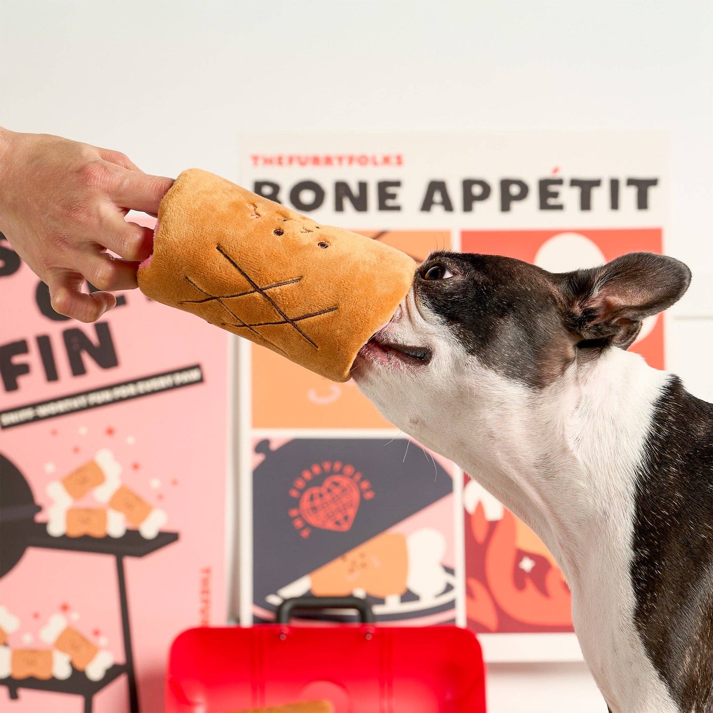 Le Jouet de flairage Bone Appétit