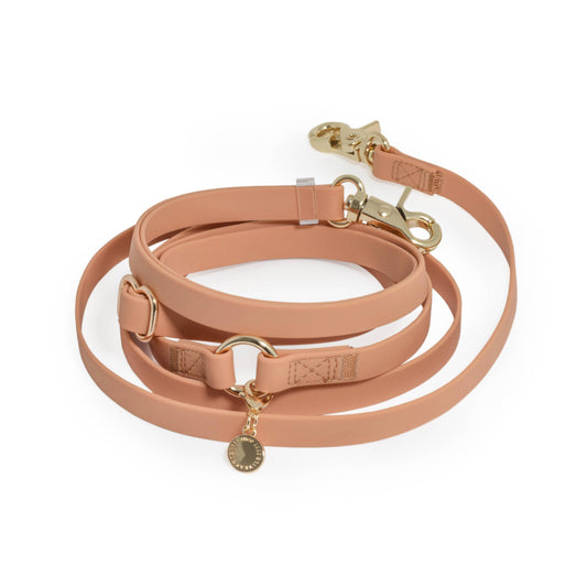 La Laisse pour chien convertible 4 en 1 Chai Brown Hands Free Cloud