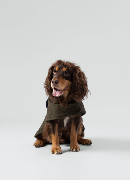 La veste en tweed à carreaux vert foncé - Hackett x Hugo Hudson