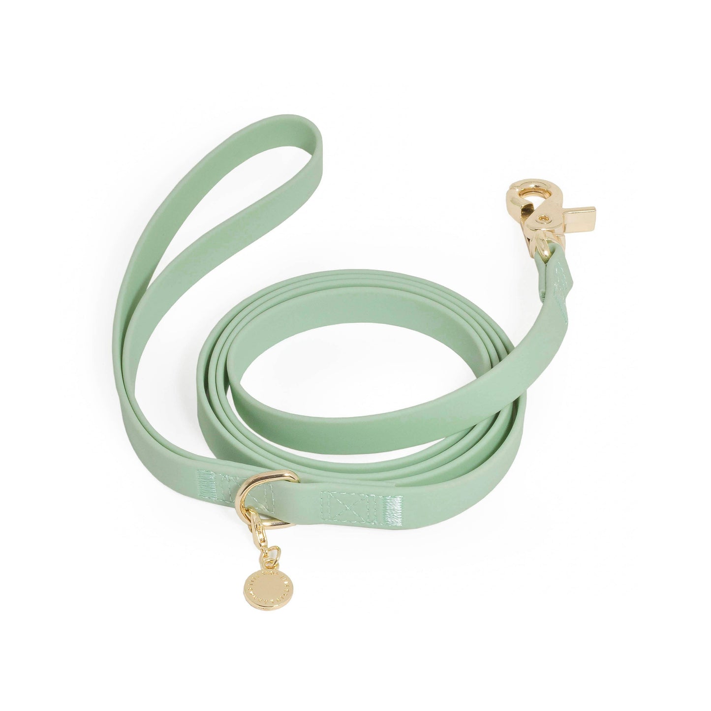 La Laisse imperméable pour chien Cloud vert pistache