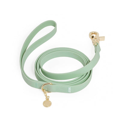 La Laisse imperméable pour chien Cloud vert pistache