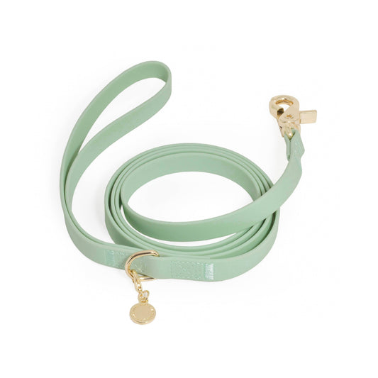 La Laisse imperméable pour chien Cloud vert pistache