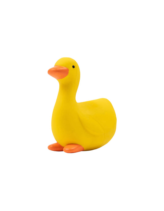 Le Canard en Latex