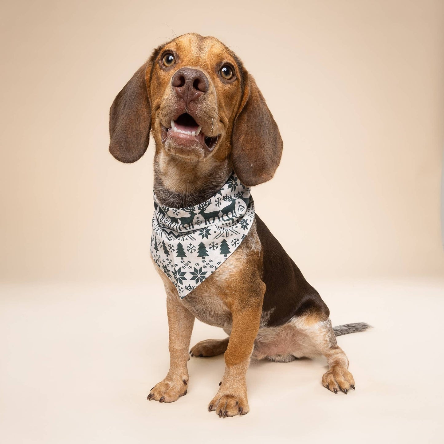 Le Bandana de Noël pour chien Hygge