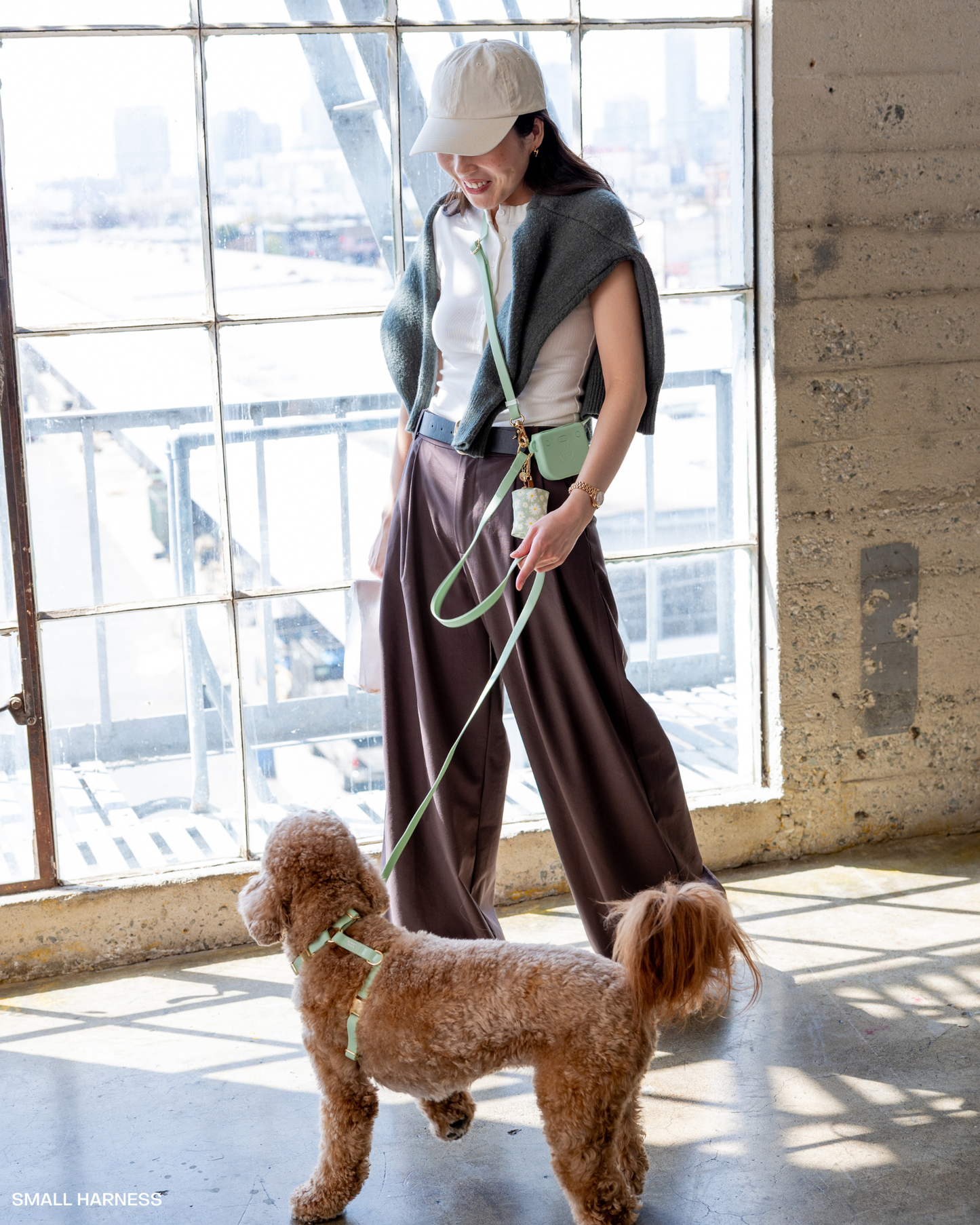 La Laisse mains libres convertible 4-en-1 pour chien vert pistache