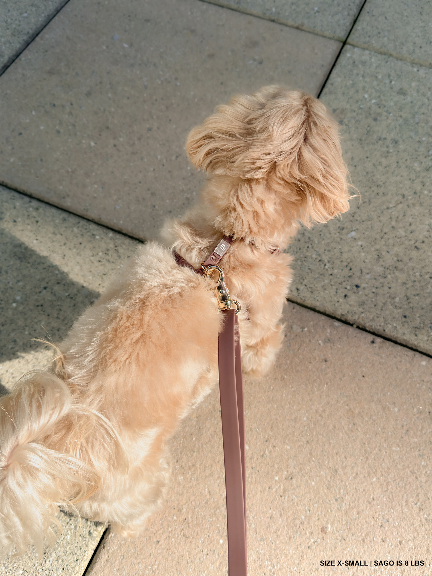 Le Harnais pour chien Espresso Brown Cloud Lite