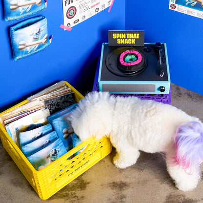 Le Jouet d’odorat en vinyle pour chien