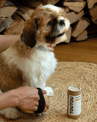 Shampoing Sec Toutout avec un chien